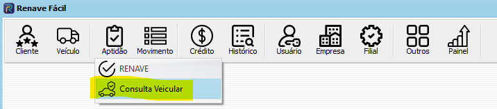 Consulta veicular na plataforma